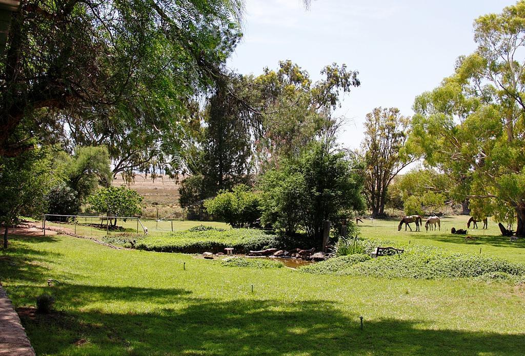 Villa Garingboom Guest Farm Springfontein Exterior foto